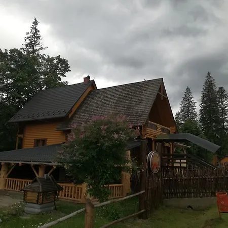 Zavoela
